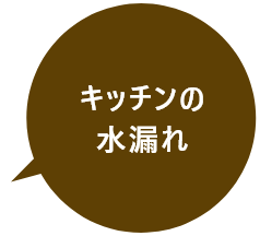 キッチンの水漏れ