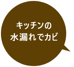 キッチンの水漏れでカビ